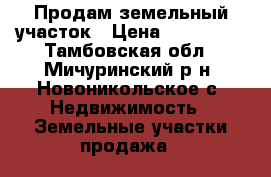 Продам земельный участок › Цена ­ 300 000 - Тамбовская обл., Мичуринский р-н, Новоникольское с. Недвижимость » Земельные участки продажа   